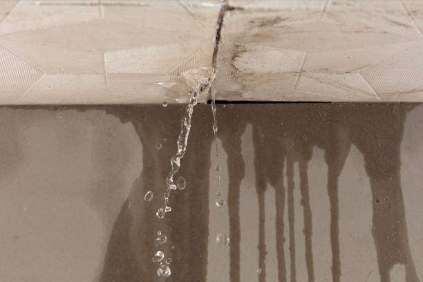 Professional Sewage Cleanup technician working in Greenwald, MN